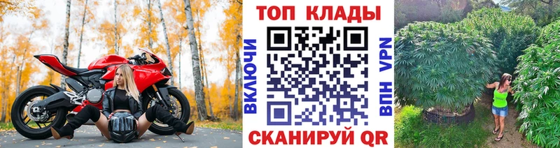Цена Приморск mega рабочий сайт  Alpha PVP  Каннабис  Гашиш  Кокаин 