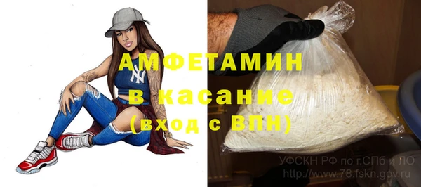 ешки Алексин