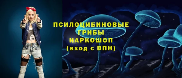 прущие грибы Алзамай