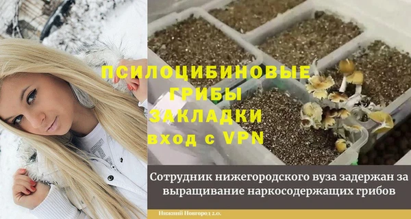 ешки Алексин