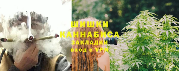 прущие грибы Алзамай