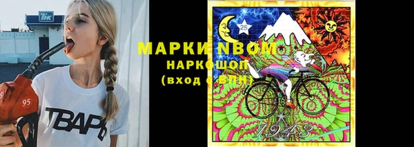 ешки Алексин
